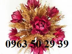 LÀM HOA KHÔ BẰNG HẠT SILICAGEL