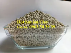 NHÀ PHÂN PHỐI TÚI HÚT ẨM CLAY CHẤT LƯỢNG GIAO TOÀN QUỐC