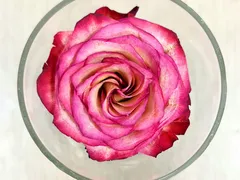 SILICAGEL LÀM HOA KHÔ