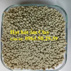 Hạt hút ẩm Clay