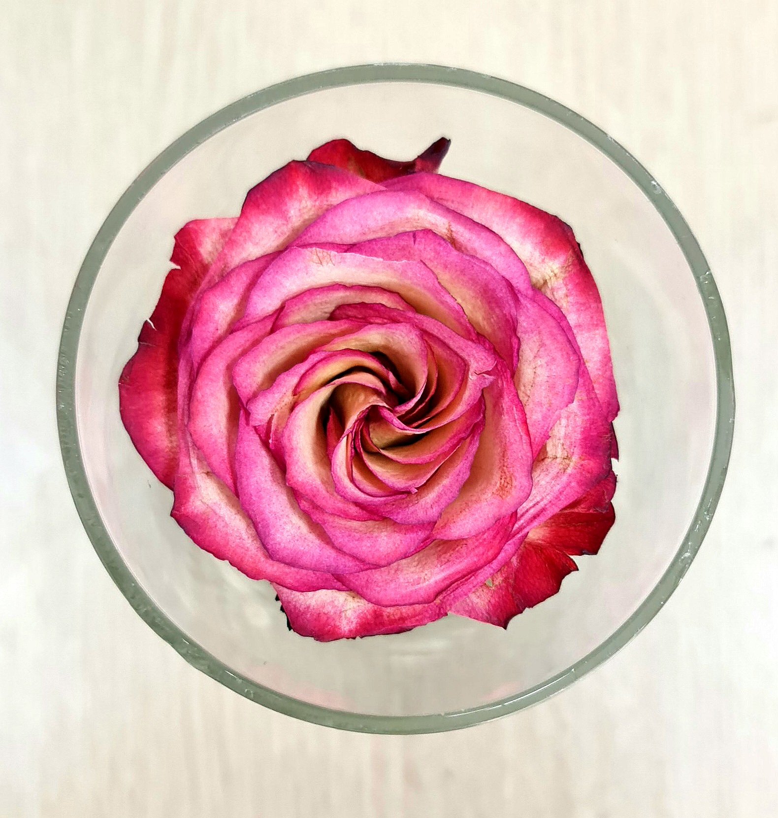 SILICAGEL LÀM HOA KHÔ