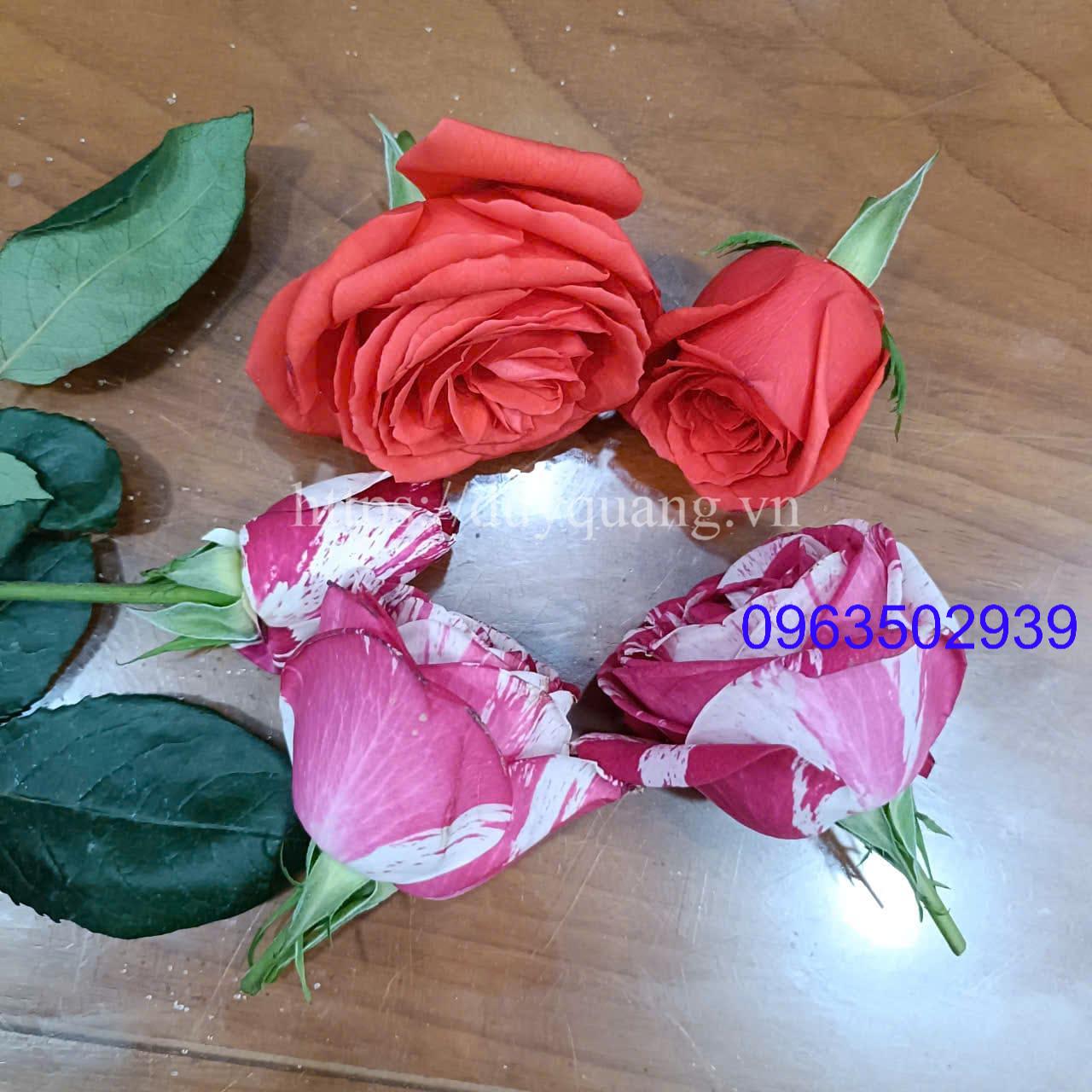 LÀM HOA KHÔ VĨNH CỬU