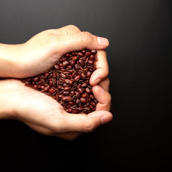 Trà gạo lứt đậu đỏ Thuận Hòa 300g