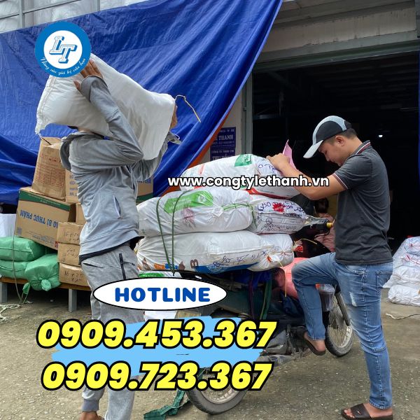 dép mang trong phòng mổ, dép phòng phẫu thuật chất lượng giá sỉ rẻ giao hàng