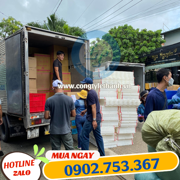 Kho băng keo Lê Thanh Kho băng keo Lê Thanh