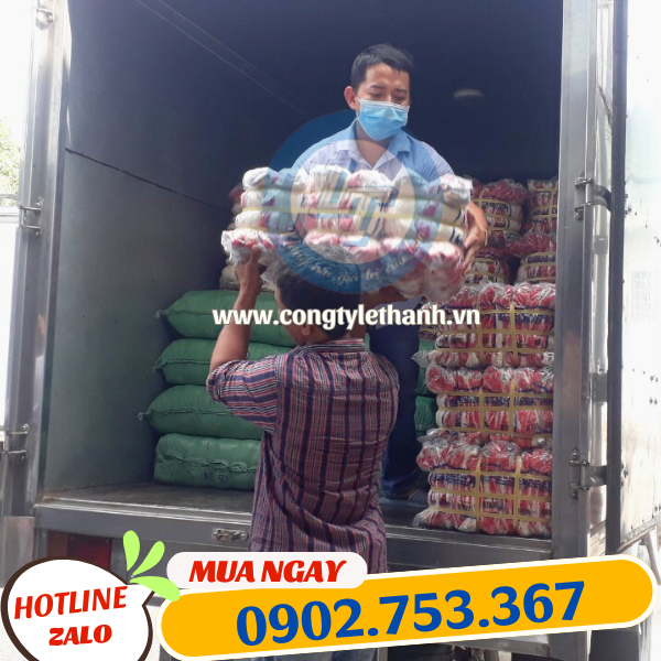 Găng tay len nhúng nhựa được giao nhanh chóng đến khách Găng tay len nhúng nhựa được giao nhanh chóng đến khách