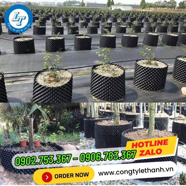 GIÁ BÁN RẺ BẦU ƯƠM CÂY THÔNG MINH công dụng của bầu ươm