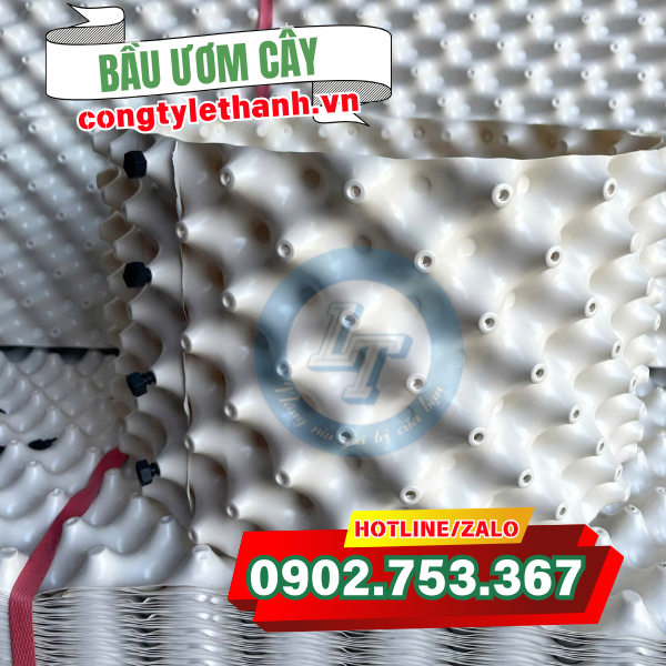 Bầu ươm cây trồng chất lượng Bầu ươm cây trồng chất lượng