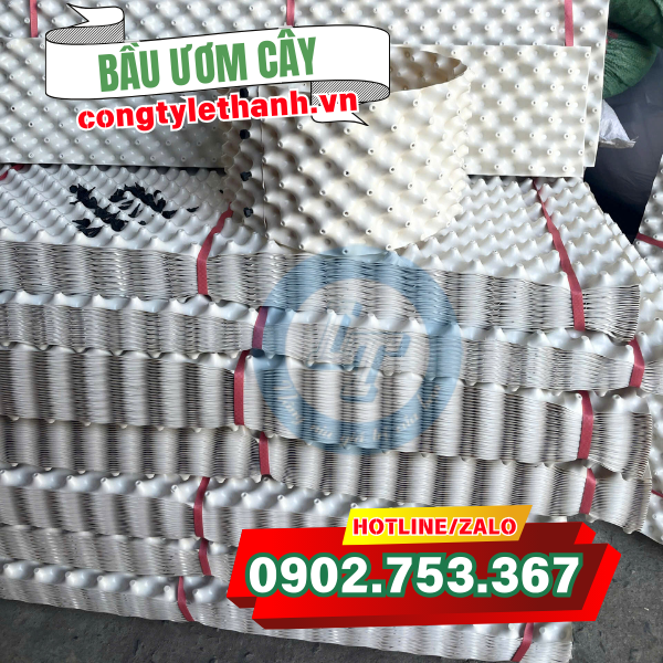 Bầu ươm cây trồng chất lượng Bầu ươm cây trồng chất lượng