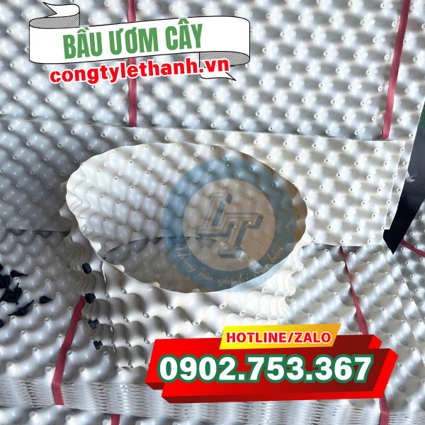 Bầu ươm cây màu trắng Bầu ươm cây màu trắng