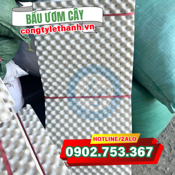 Bầu ươm cây trồng chất lượng Bầu ươm cây trồng chất lượng