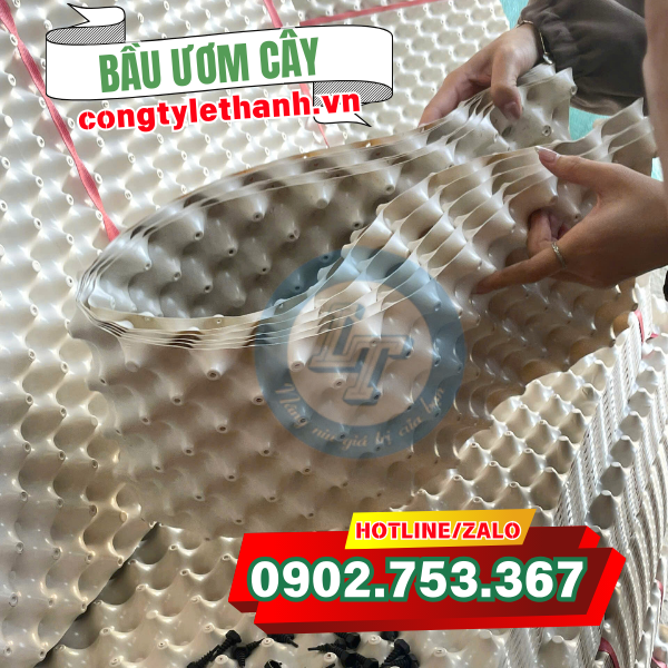 Bầu ươm cây có độ dẻo dai Bầu ươm cây có độ dẻo dai