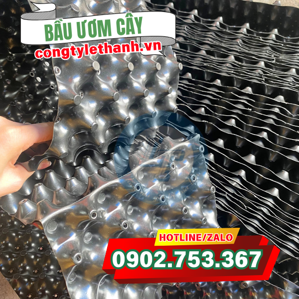 Bầu ươm cây có bề mặt lồi lõm Bầu ươm cây có bề mặt lồi lõm
