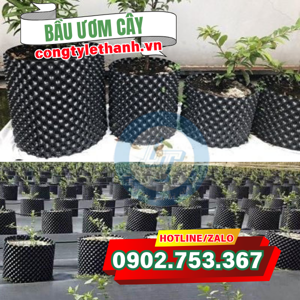 Bầu ươm cây trồng đa dạng kích thước để trồng cây Bầu ươm cây trồng đa dạng kích thước để trồng cây