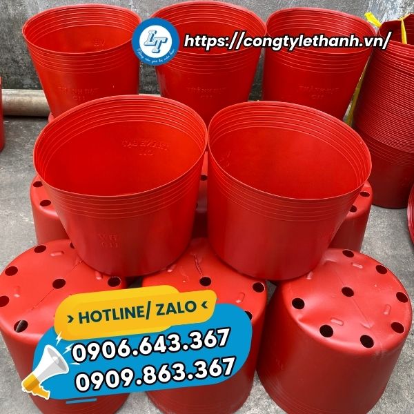MUA CHẬU NHỰA TRỒNG CÂY TẾT GIÁ SỈ chậu nhựa cây giá rẻ