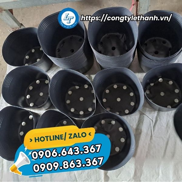 MUA CHẬU NHỰA TRỒNG CÂY TẾT GIÁ SỈ chậu nhựa đen