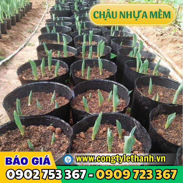 chậu nhựa mềm trồng cây giá sỉ nhiều kích thước chậu nhựa mềm trồng cây giá sỉ nhiều kích thước