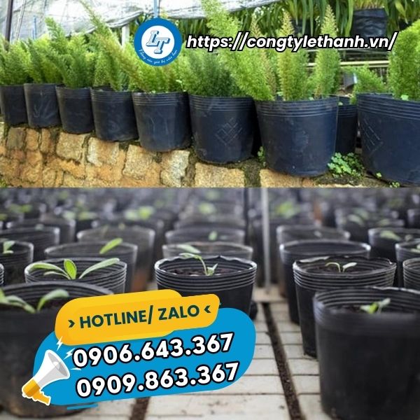MUA CHẬU NHỰA TRỒNG CÂY TẾT GIÁ SỈ chậu nhựa trồng cây giống