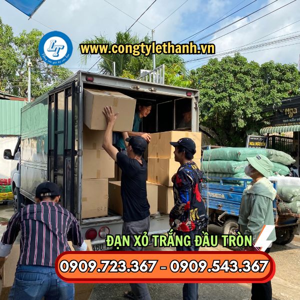 ĐẠN XỎ TRẮNG TRÒN 5 INCH, 7 INCH BÁN SỈ THEO HỘP CÔNG TY LÊ THANH