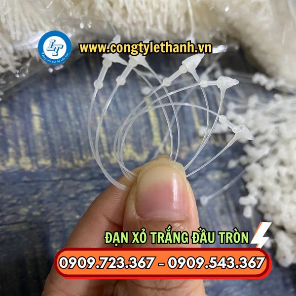 ĐẠN XỎ TRẮNG TRÒN 5 INCH, 7 INCH BÁN SỈ THEO HỘP ĐẠN XỎ TRẮNG TRÒN