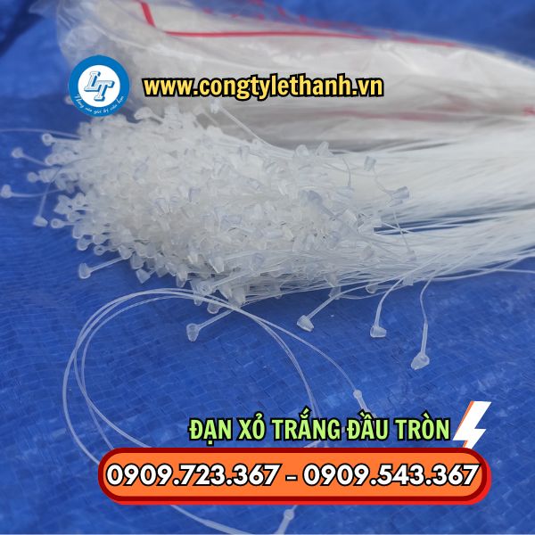 ĐẠN XỎ TRẮNG TRÒN 5 INCH, 7 INCH BÁN SỈ THEO HỘP ĐẠN XỎ TRẮNG TRÒN