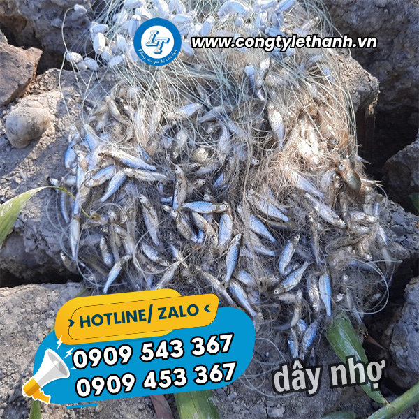 MUA SỈ DÂY NHỢ XÂY DỰNG MUA SỈ DÂY NHỢ XÂY DỰNG