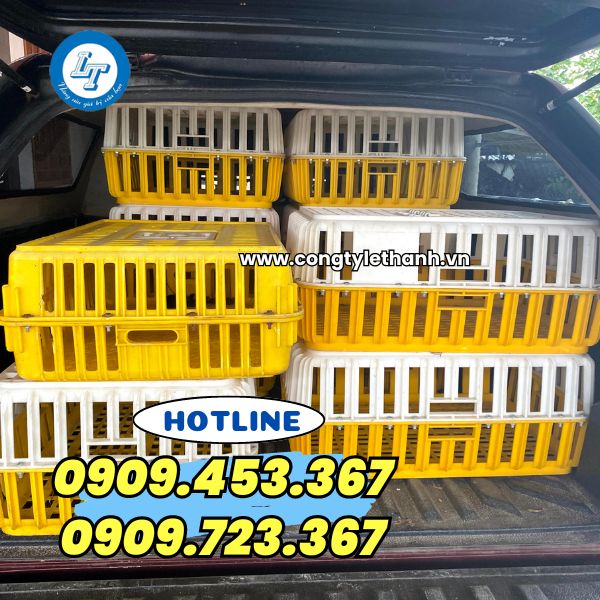 Phân phối sỉ rẻ lồng nhựa đựng gà vịt, nhốt gia cầm giao hàng lồng nhựa nhốt gà vịt