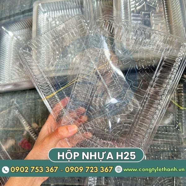 Tìm nguồn hộp nhựa H25 chữ nhật giá sỉ chất lượng giao nhanh Tìm nguồn hộp nhựa H25 chữ nhật giá sỉ chất lượng giao nhanh