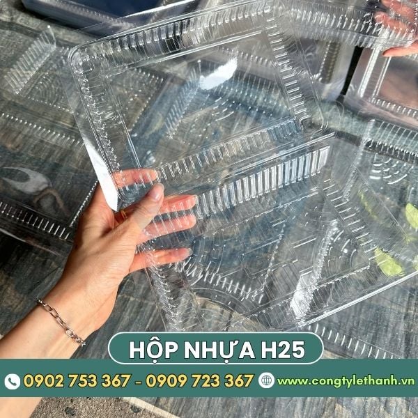 Hộp nhựa H25 nắp liền thân đóng mở tiện lợi Hộp nhựa H25 nắp liền thân đóng mở tiện lợi