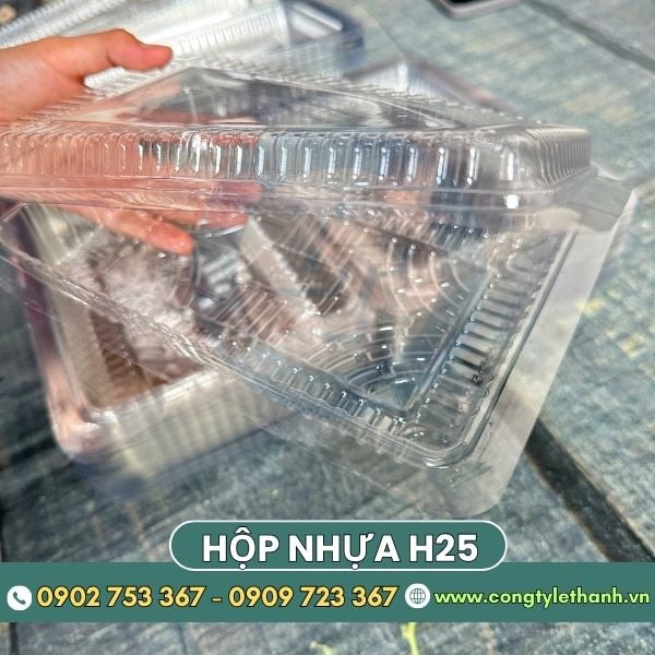 Tìm nguồn hộp nhựa H25 chữ nhật giá sỉ chất lượng giao nhanh Tìm nguồn hộp nhựa H25 chữ nhật giá sỉ chất lượng giao nhanh