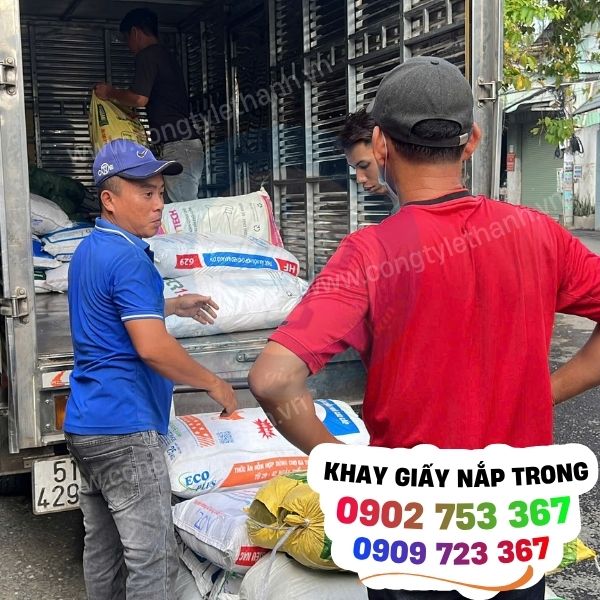 khay giấy, hộp giấy chữ nhật nắp trong giá sỉ cho tiệm bánh và quán ăn khay giấy, hộp giấy chữ nhật nắp trong giá sỉ cho tiệm bánh và quán ăn