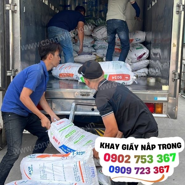 khay giấy, hộp giấy chữ nhật nắp trong giá sỉ cho tiệm bánh và quán ăn khay giấy, hộp giấy chữ nhật nắp trong giá sỉ cho tiệm bánh và quán ăn