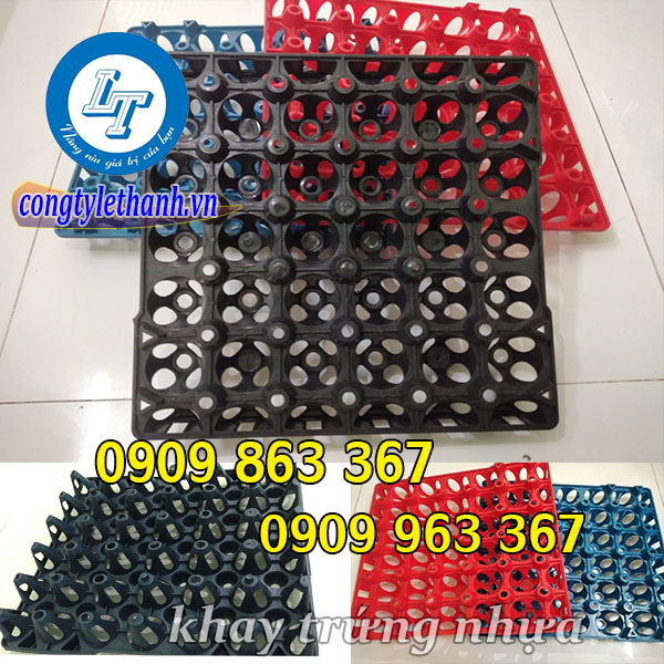 công ty phân phối khay nhựa đựng trứng chất lượng TPHCM khay nhựa đựng trứng