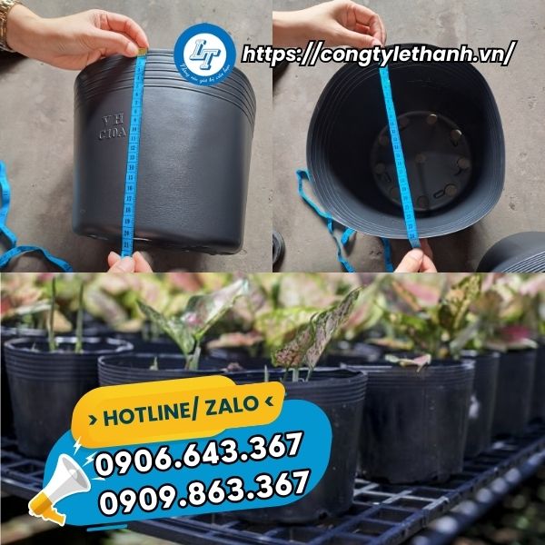 MUA CHẬU NHỰA TRỒNG CÂY TẾT GIÁ SỈ kích thước chậu nhựa đen