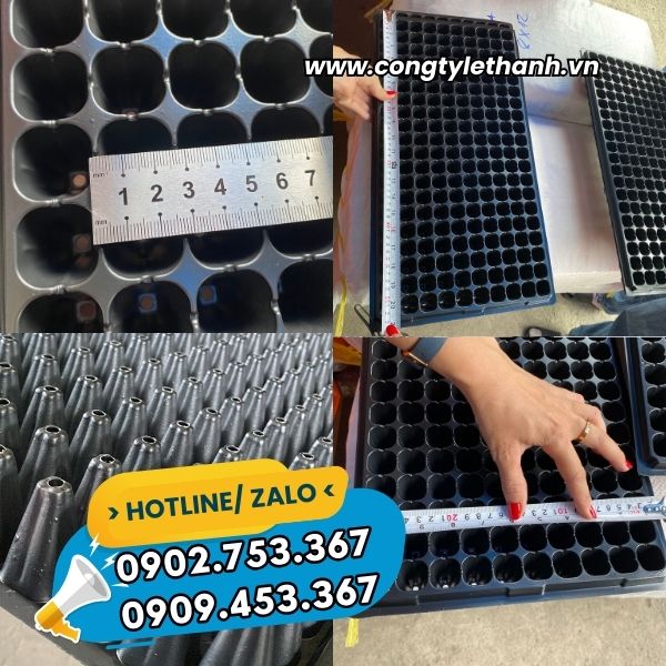 NHÀ CUNG CẤP SỈ KHAY ƯƠM HẠT GIỐNG 200 LỖ GIÁ RẺ kích thước khay ươm cây giống