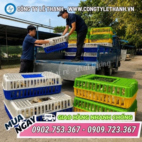 Lồng vận chuyển gà vịt có nắp đậy chắc chắn, giá sỉ tại kho Lồng vận chuyển gà vịt có nắp đậy chắc chắn, giá sỉ tại kho
