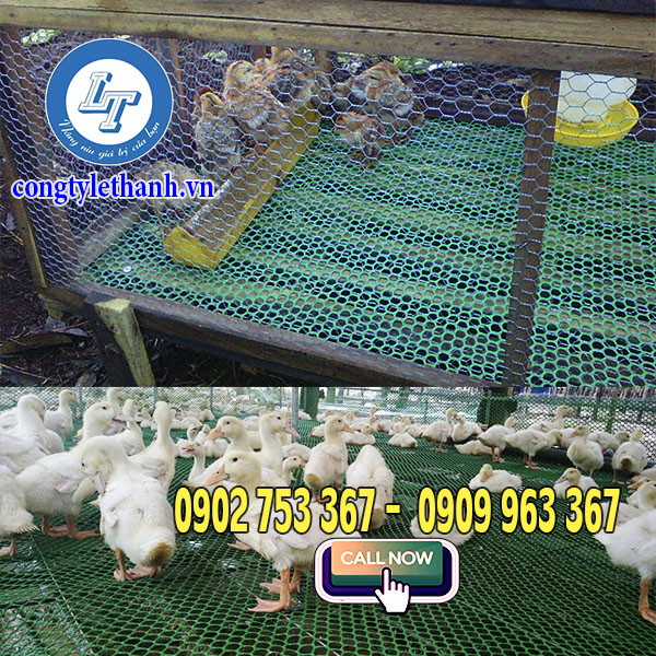 Mua số lượng lớn lưới mắt cáo nhưa màu xanh Ứng dụng lưới nhựa mắt cáo trong chăn nuôi