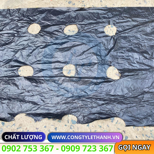Sỉ lẻ cuộn màng phủ nông nghiệp đục lỗ sẵn Sỉ lẻ cuộn màng phủ nông nghiệp đục lỗ sẵn