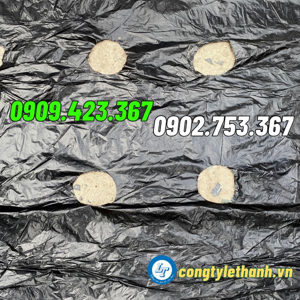 NHÀ PHÂN PHỐI SỈ MÀNG PHỦ NÔNG NGHIỆP ĐỤC LỖ SẴN màng phủ nông nghiệp đục lỗ