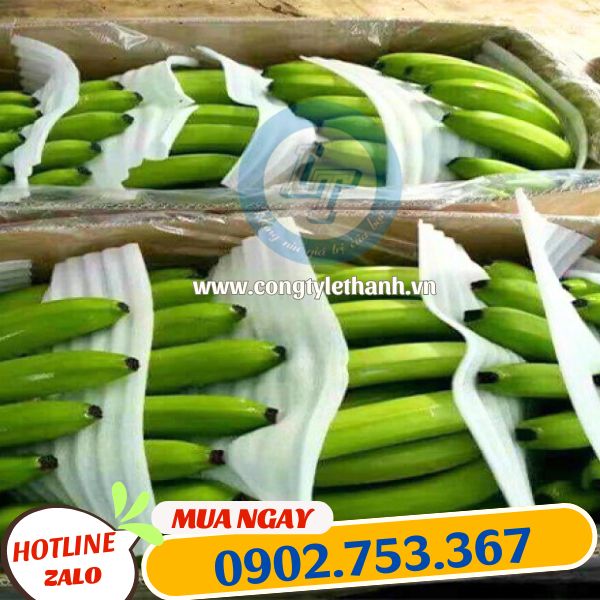 nguồn sỉ cuộn xốp foam chất lượng quấn hàng nguồn sỉ cuộn xốp foam chất lượng quấn hàng