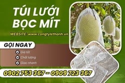 NGUỒN TÚI LƯỚI BỌC MÍT GIÁ SỈ CHO NHÀ VƯỜN