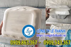 HỘP XỐP ĐỰNG HEO QUAY, VỊT QUAY DÀY DẶN, GIÁ TỐT NHẤT