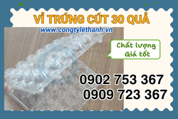 VỈ TRỨNG CÚT 30 Ô GIÁ SỈ TP.HCM GIAO NHANH – KHAY ĐỰNG TRỨNG CÚT NHỰA GIÁ RẺ