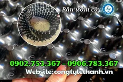 GIÁ BÁN RẺ BẦU ƯƠM CÂY THÔNG MINH CHO NHÀ PHÂN PHỐI SỈ