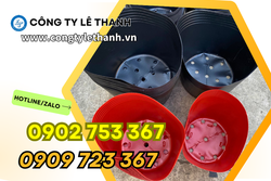 CHẬU NHỰA DẺO NHIỀU SIZE GIÁ TỐT GIAO TOÀN QUỐC