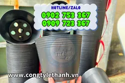 CHẬU NHỰA MỀM C6–C12 GIÁ SỈ RẺ, HÀNG DÀY BỀN DÙNG LÂU