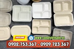 ĐỊA CHỈ CUNG CẤP TÔ BÃ MÍA, HỘP BÃ MÍA, KHAY BÃ MÍA GIÁ RẺ AN TOÀN