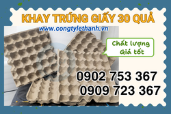 VỈ TRỨNG GIẤY GIÁ SỈ – KHAY ĐỰNG TRỨNG 30 Ô GIÁ RẺ