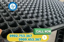 NHÀ CUNG CẤP SỈ KHAY ƯƠM HẠT GIỐNG 200 LỖ GIÁ RẺ
