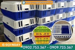 LỒNG VẬN CHUYỂN GÀ VỊT CÓ NẮP ĐẬY CHẮC CHẮN, GIÁ SỈ TẠI KHO
